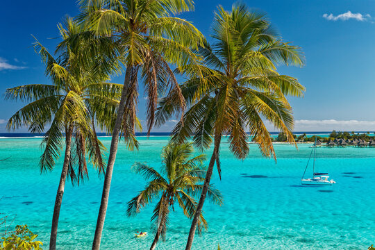 FRENCH POLYNESIA. BORA-BORA ISLAND. THE LAGOON OFF POINTE MATIRA