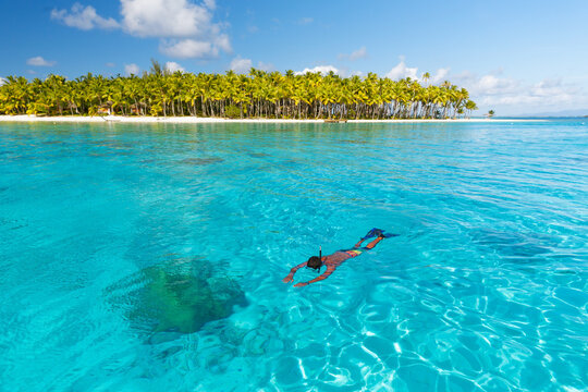 FRENCH POLYNESIA. BORA-BORA ISLAND. SNORKELLING IN A CORAL GARDEN IN THE LAGOON