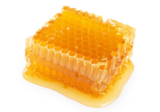 Piece of wax honeycomb filled with honey, isolated on white background.