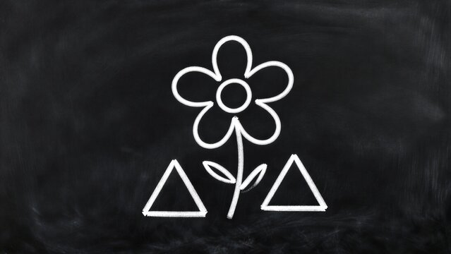White chalk flower and triangles on a blackboard, simple drawing.