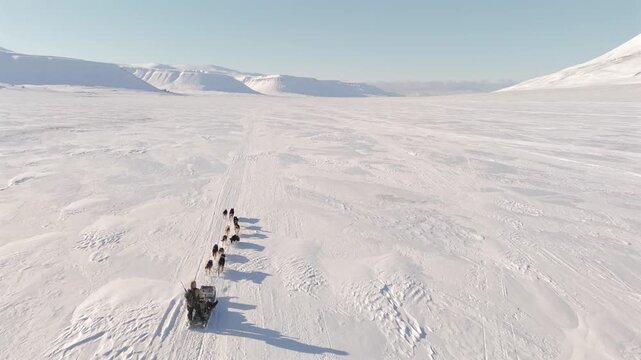 Aerial push forward and rise over a dog sled team crossing a wide open valley in Svalbard, symbolizing the steady progress and rhythm of an Arctic journey