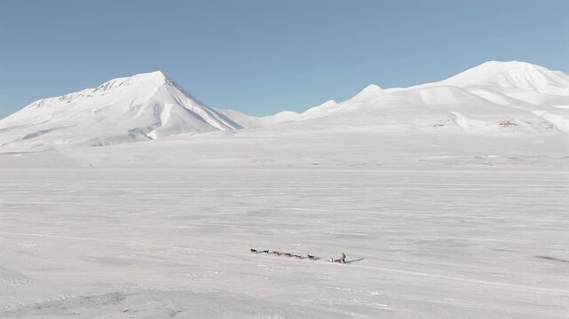 Drone dollies left past a tiny sled dog team crossing the flat plain evoking the vast solitude of the Svalbard Arctic wilderness beneath sharp peaks