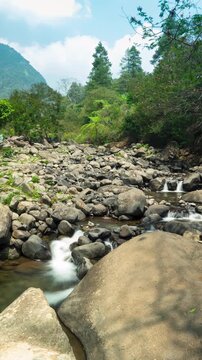 Vertical video - Timelapse of the flow of a small river