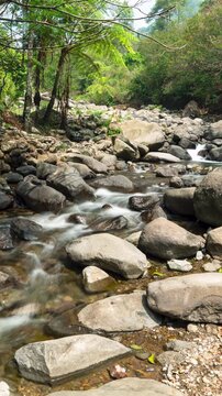 Vertical video - Timelapse of the flow of a small river