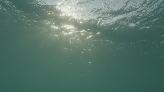 Sun overhead from underneath, slightly green water and choppy surface, in slow motion