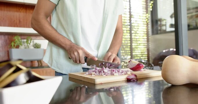 Lifestyle videos indoor of people doing activities at home, chopping red onions on cutting board, ma
