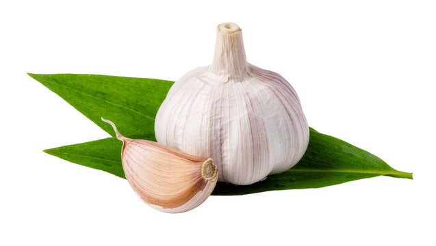 Whole garlic bulb and single clove resting on green leaves, isolated on transparent background