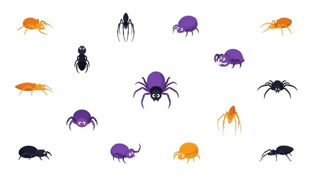 Collection of cute cartoon spider characters for Halloween themed graphic projects