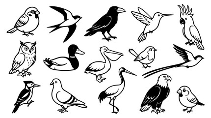 Fototapeta premium Diverse collection of various wild birds in simple vector graphic style