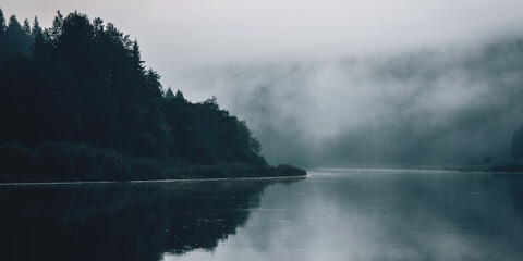 Obraz premium A forest in a misty landscape in the early morning