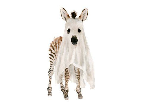 Cute baby zebra dressed as a ghost for Halloween watercolor illustration