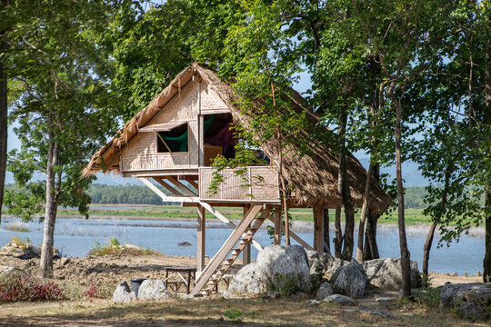 Traditional bamboo hut on tall stilts by the river under green trees.A rustic thatched-roof wooden cottage raised on high stilts with a ladder, situated on a rocky riverbank surrounded by lush green .