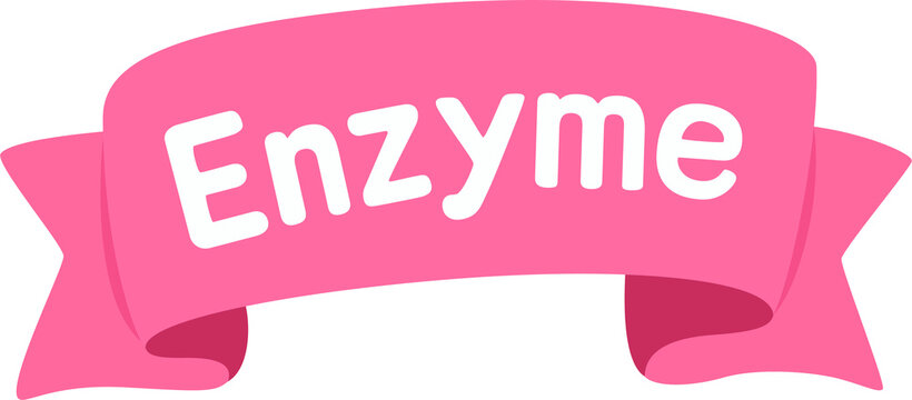 enzyme