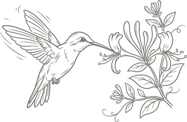Fototapeta premium white dove with flower