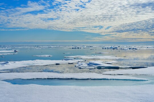 Pack ice and Icebergs in the retreating Arctic Ocean at the latitude of 81&deg;3 N, Svalbard archipelago, Norway