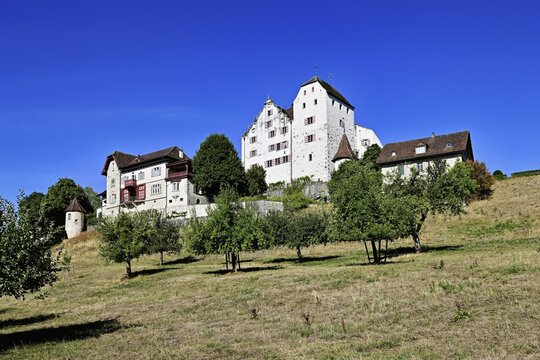 Baroque Wildegg Castle on the foothills of the Chestenberg, M&ouml;riken, Wildegg, Canton of Aargau, Switzerland