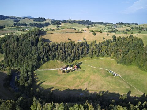 Parched, dry meadows in the Drumlin landscape, Sihlmatt in the foreground, hot summer 2026, Menzingen Canton of Zug, Switzerland