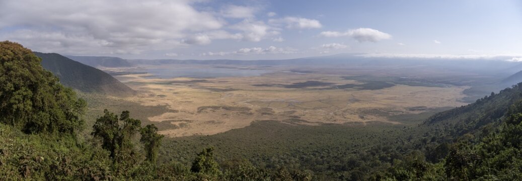 Panorama, view of savanna landscape and lakes in the Ngorongoro Crater from the crater rim with forest, Ngorongoro Conservation Area, Tanzania