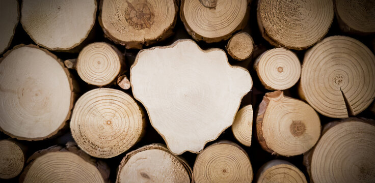 Wood logs cross sections timber background construction material firewood sauna interior decor natural texture banner ad