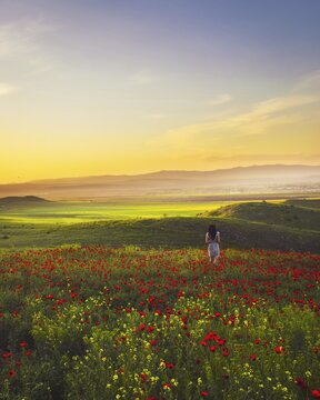 Girl stand isolated wonderful nature alone with vibrant landscape in background. Dreams freedom concept.Marneuli.Georgia