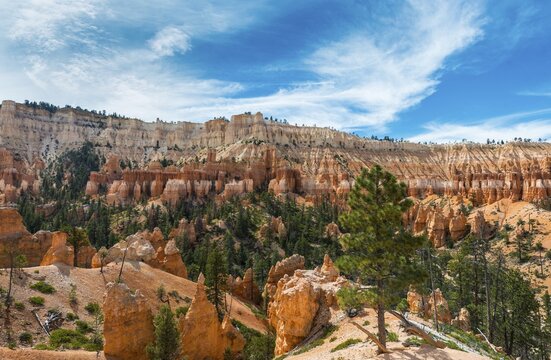 Rocky landscape with fairy chimneys, erosion forms, Bryce Canyon National Park, Queens Garden, Utah, USA
