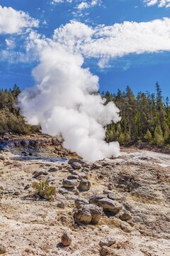 Steamboat Geyser, Norris Back Basin, hot spring, Noris Geyser Basin, Yellowstone National Park, Wyoming, USA