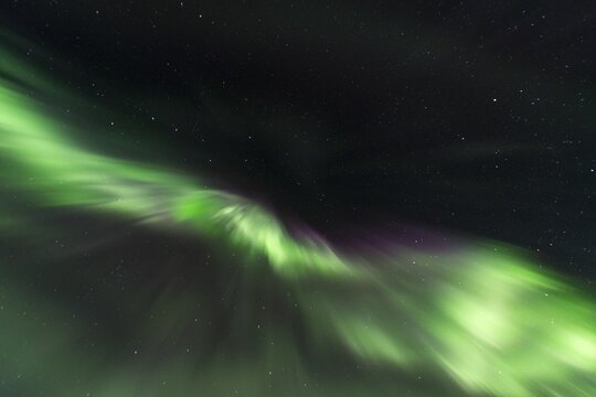 Northern Lights (Aurora borealis), near M&yacute;vatn, Nor&eth;urland Eystra, Northern Iceland, Iceland