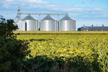Modern grain silos and agricultural fields in rural farming landscape © Cristi