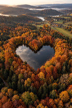 Aerial view of heart shaped lake surrounded by colorful autumn forest