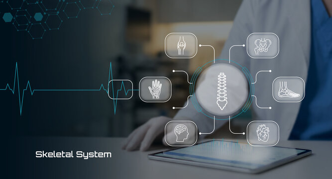 Digital representation of the skeletal system with integrated medical diagnostics and anatomical overlays