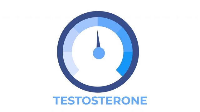 Testosterone level meter animation with rising and falling hormone levels, testosterone hormone, hormonal balance, men's health and medical concept