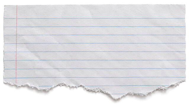 Torn piece of white lined notebook paper with rough jagged edges