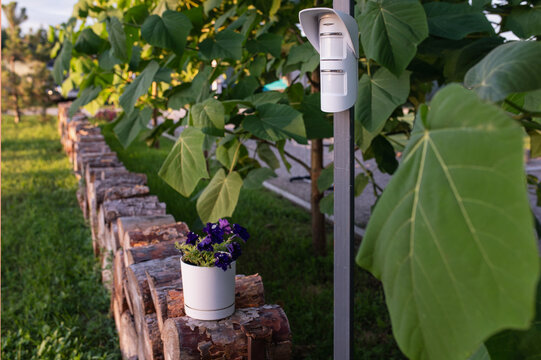 Outdoor PIR motion sensor, security infrared motion detector, motion alarm sensor for home security, property protection, surveillance, perimeter monitoring and smart home automation in garden