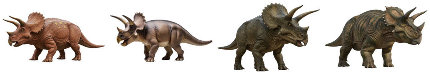 Four different Triceratops dinosaurs isolated on transparent background © Trieu