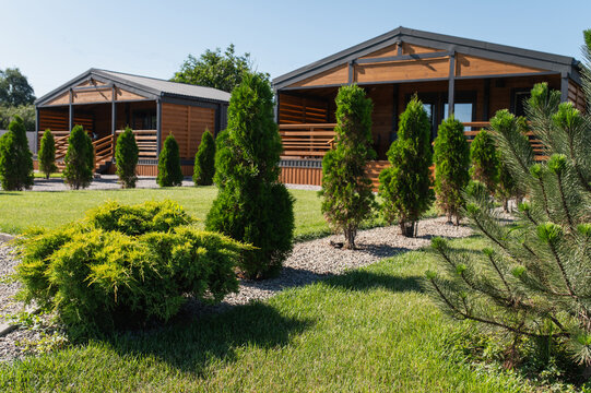 Landscaping, lawn, 'Smaragd' thujas, and shrubs set against a cottage in summer.