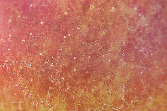 Apple peel seen from a different perspective