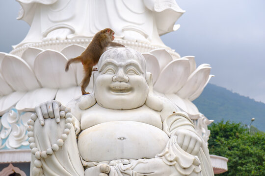 Playful monkey climbing on laughing Buddha statue at Linh Ung Temple in Da Nang, Vietnam