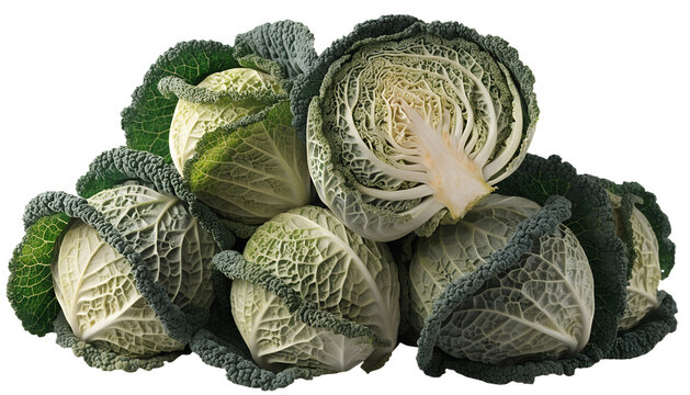 Photorealistic pile of fresh Savoy cabbage heads, approximately  Savoy cabbages arranged naturally together, one cabbage cut in half revealing intricate layered leaves, strongly detaile