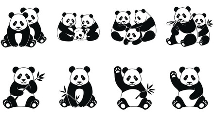 Obraz premium Panda bear illustrations showcase various poses on a white background