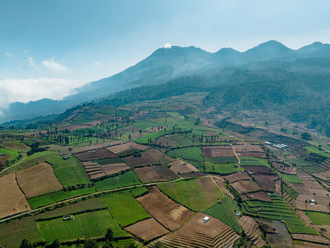 Aerial view of Brakseng farmland with terraced fields, lush green crops, and mountain backdrop in Batu, East Java, Indonesia.