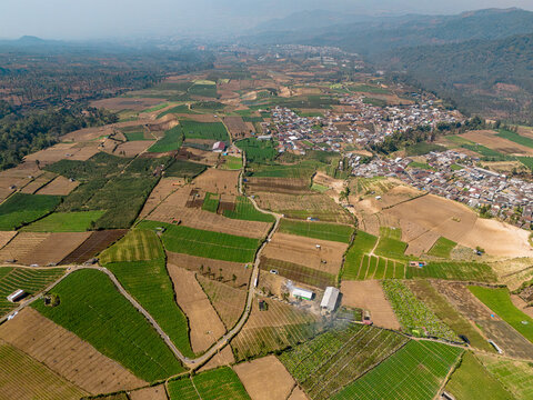 Aerial view of the Brakseng agricultural landscape in Sumber Brantas, featuring terraced farmlands, lush green crops, and a small village nestled in the hills of Batu, East Java, Indonesia.