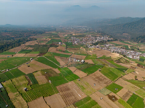 Aerial view of the Brakseng farmland area featuring a patchwork of green and brown agricultural fields and a small village nestled in the mountains of Batu, East Java, Indonesia.
