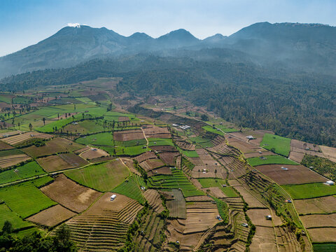 Aerial view of the terraced Brakseng farmland with lush green and brown agricultural plots set against a mountain backdrop in Batu, East Java, Indonesia.