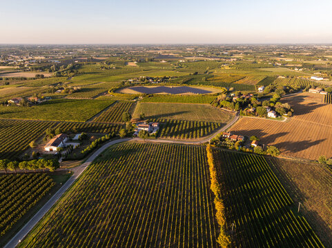 Aerial view of vineyards and rural houses surrounded by lush fields and solar panels in the countryside of Faenza, Emilia-Romagna, Italy.