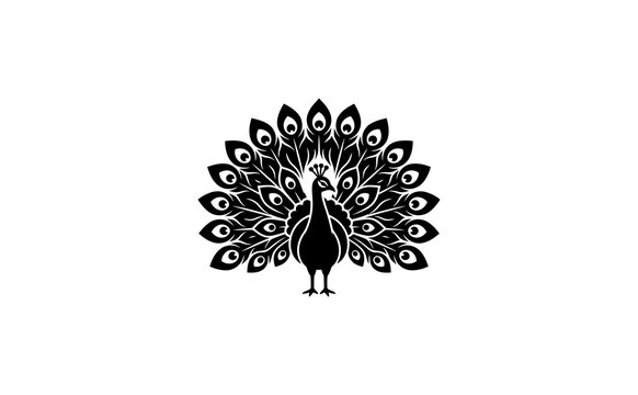 Peacock silhouette vector logo featuring a majestic bird with spread tail