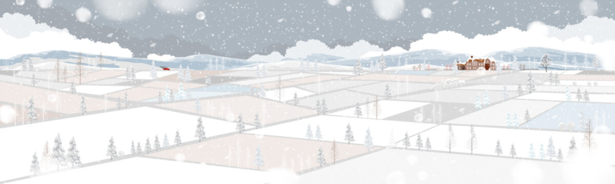 Winter Christmas landscape with snowy countryside fields, falling snow, pine trees and distant houses,Panoramic seasonal background for holiday, Vector illustration winter nature banner festive desi