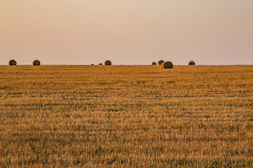 field of hay © Bohovin Zhanna