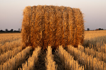 hay bales in the field © Bohovin Zhanna