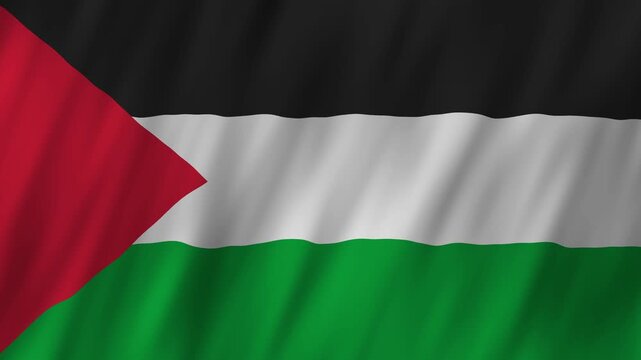 Palestine flag waving in the wind 4K animation background