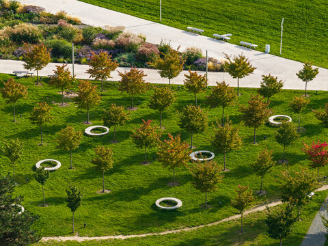 Aerial view of a park in Kaunas featuring rows of young trees, circular stone benches, and winding pedestrian paths on a lush green lawn in Kaunas, Kaunas County, Lithuania.